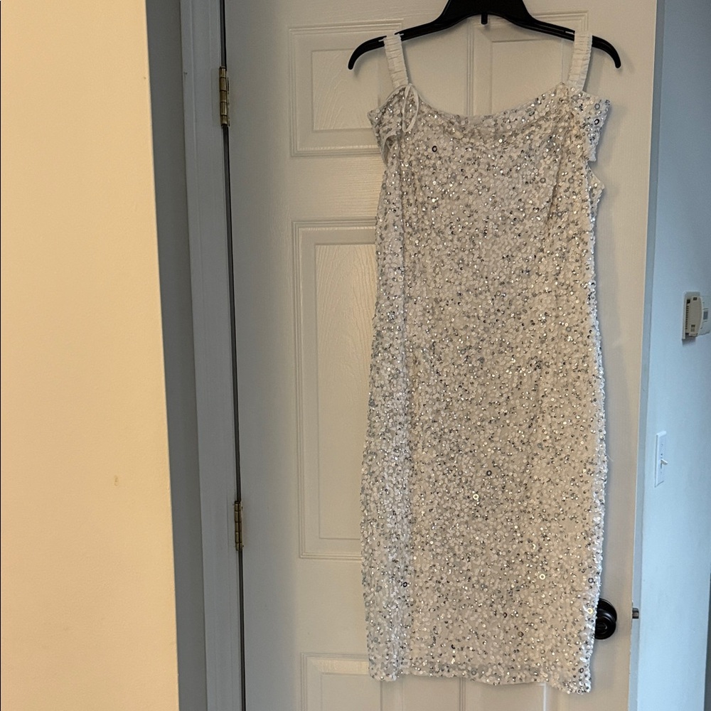 Elegant Silver Sequin Dress